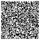 QR code with Brink Insurance Agency contacts