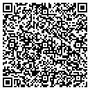 QR code with Centerville School contacts