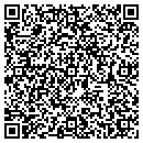 QR code with Cynergy Data Midwest contacts