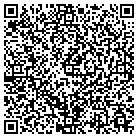 QR code with Blue River Investment contacts