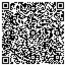 QR code with Custom Tints contacts