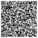 QR code with Pyramid Grouping contacts