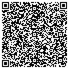 QR code with Baldwins Mobile Home Park contacts