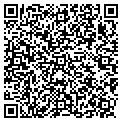 QR code with P Wenzel contacts
