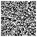 QR code with Pro Auto & Audio contacts