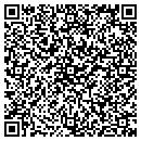 QR code with Pyramid Construction contacts