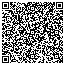 QR code with Practicelink contacts