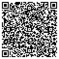 QR code with Antimi contacts