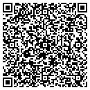 QR code with Puzzcom contacts