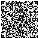 QR code with Bluesky Properties contacts