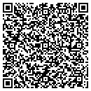 QR code with Public Storage contacts