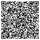 QR code with Puxico Skating Rink contacts