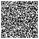 QR code with Prison Arts Program contacts