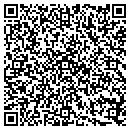 QR code with Public Storage contacts