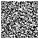 QR code with Carver Service Etc contacts