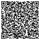 QR code with Temiscot contacts