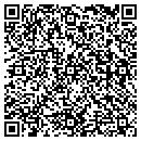 QR code with Clues Unlimited Inc contacts