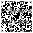 QR code with Pulaski Fine Arts Assn contacts