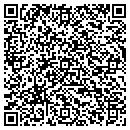 QR code with Chapnick Lighting Co contacts