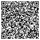 QR code with City Wide Painting contacts