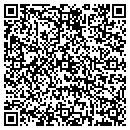 QR code with Pt Distributing contacts