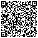 QR code with Tilt contacts