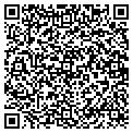 QR code with Shell contacts