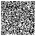 QR code with W Lay contacts
