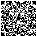 QR code with City Hall of Theodosia contacts