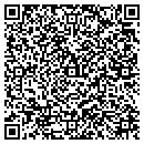 QR code with Sun Devil Auto contacts