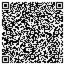 QR code with Blue Willow Cafe contacts