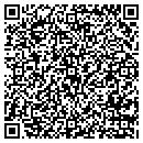 QR code with Color Design Systems contacts