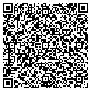 QR code with Pulaski Baptist Assn contacts