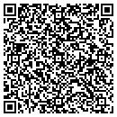 QR code with Premier Automation contacts