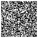 QR code with Chaney Pool Service contacts