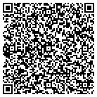 QR code with Summit Strategies Group contacts