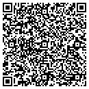 QR code with Pyramid Records contacts