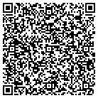 QR code with Blimpie Subs & Salads contacts