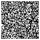 QR code with Pv Home Improvement contacts
