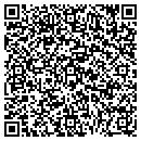 QR code with Pro Source One contacts