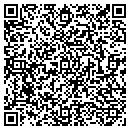 QR code with Purple Swan Shoppe contacts