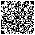 QR code with Vascor contacts