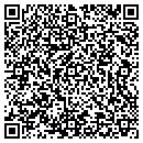 QR code with Pratt Mitchell & Co contacts