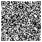 QR code with Pugh Consulting Service contacts