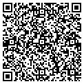 QR code with Shell contacts