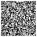 QR code with Christian Programmer contacts