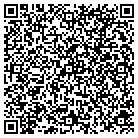 QR code with Blue Water Studios LLC contacts