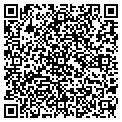 QR code with M Gems contacts
