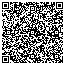 QR code with Primitive Lights contacts