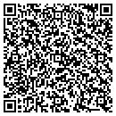 QR code with Public Storage contacts